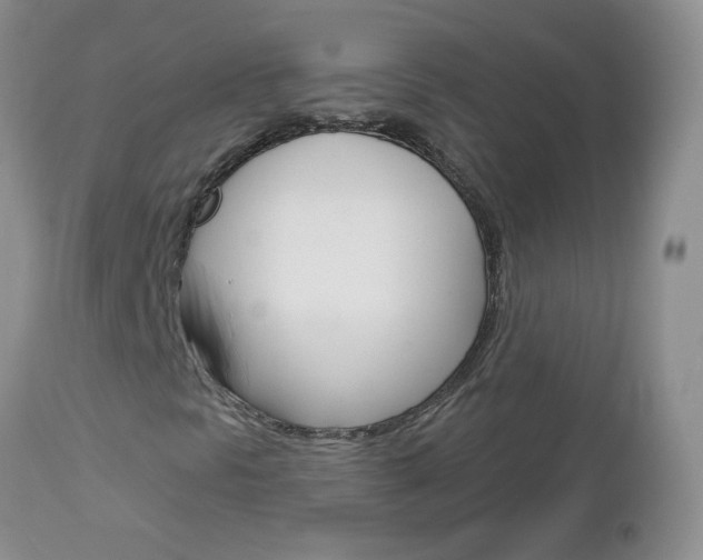 X0000113121297200908281032