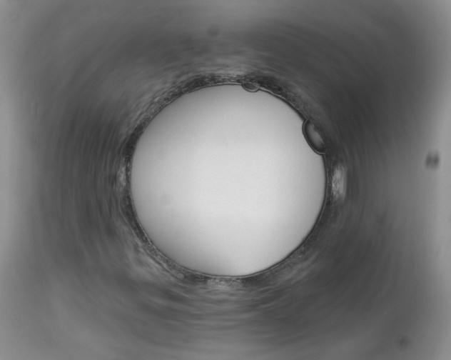 X0000113121299200908281032