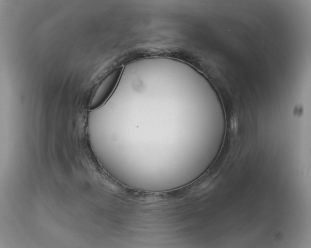 X0000113121300200908281032
