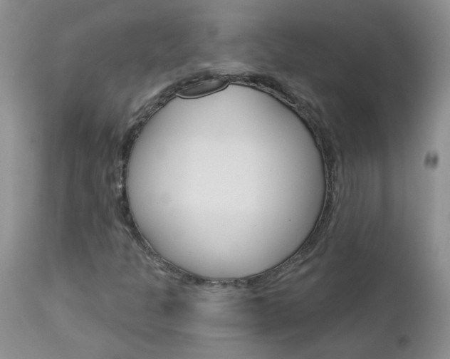 X0000113121301200908281032