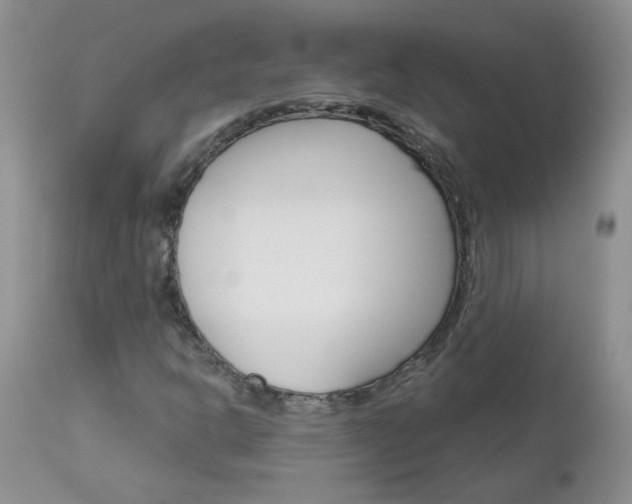 X0000113121302200908281032