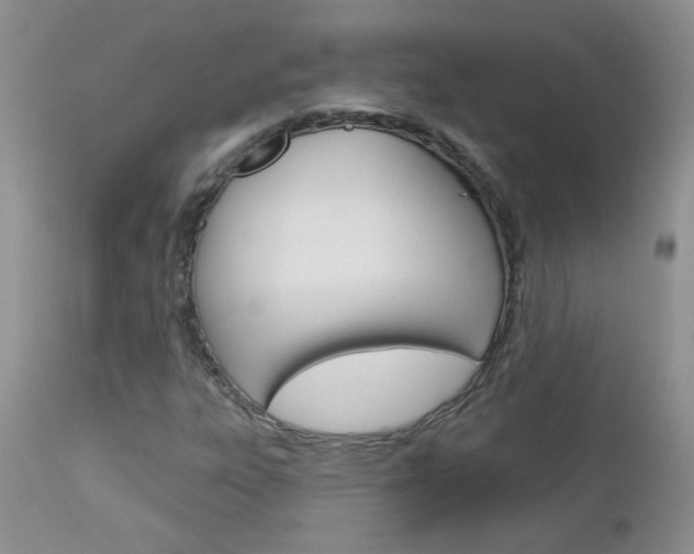 X0000113121303200908281032
