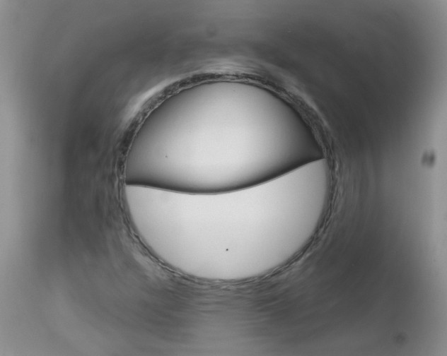 X0000113121304200908281032