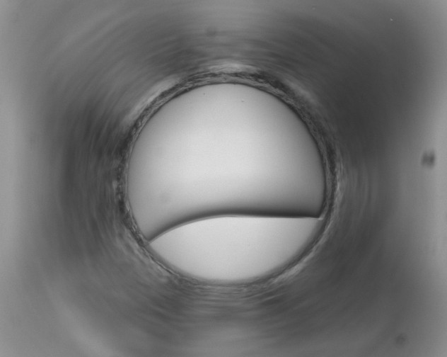 X0000113121305200908281032
