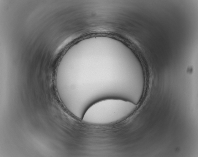 X0000113121306200908281032