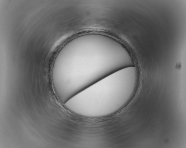 X0000113121307200908281032
