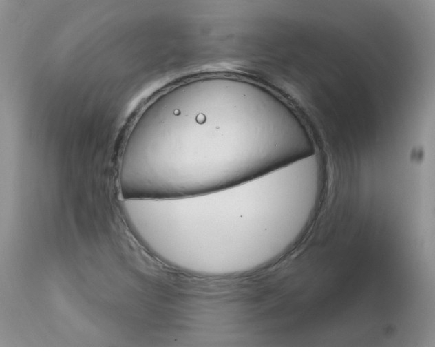 X0000113121308200908281032