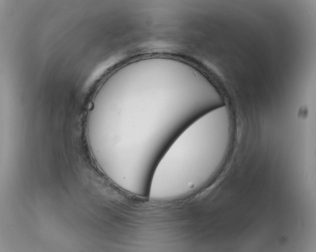 X0000113121309200908281032