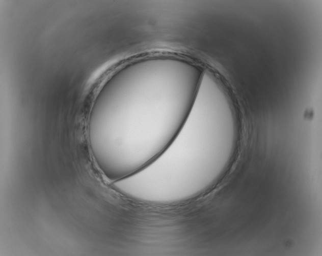 X0000113121310200908281032