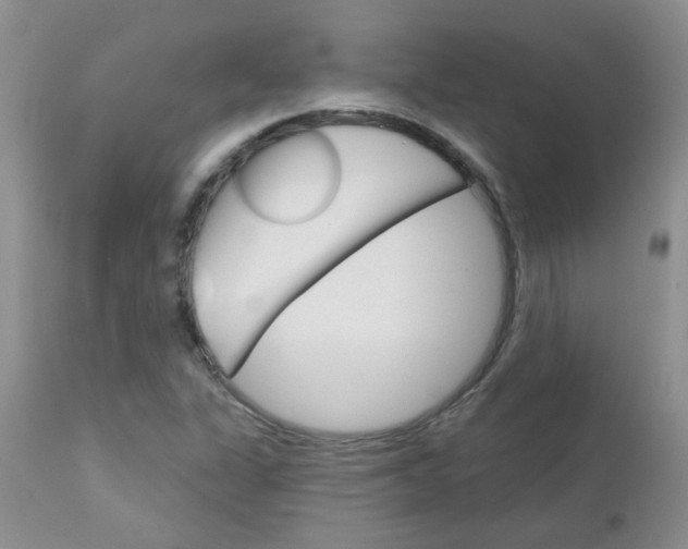 X0000113121311200908281032