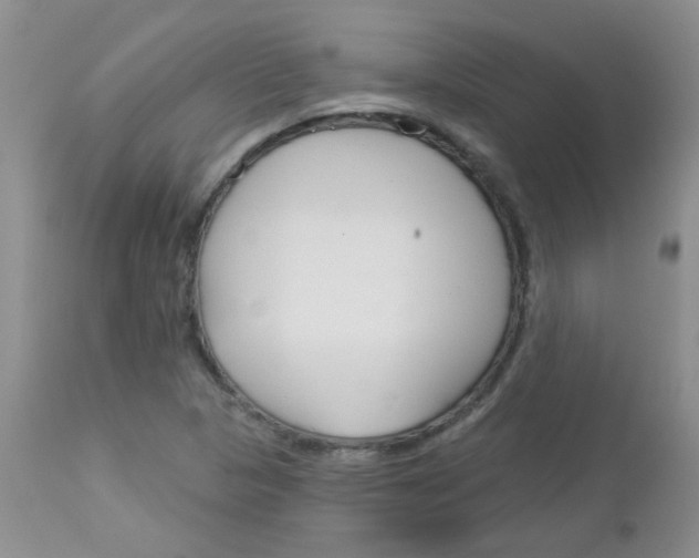 X0000113121313200908281032