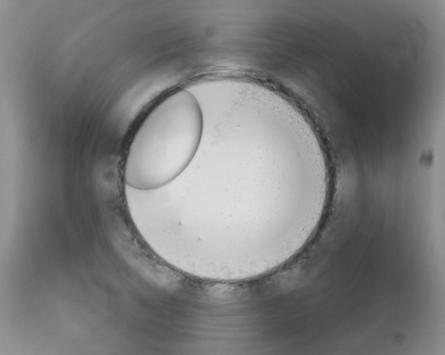 X0000113121314200908281032