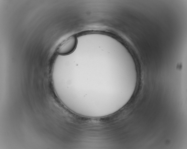 X0000113121315200908281032