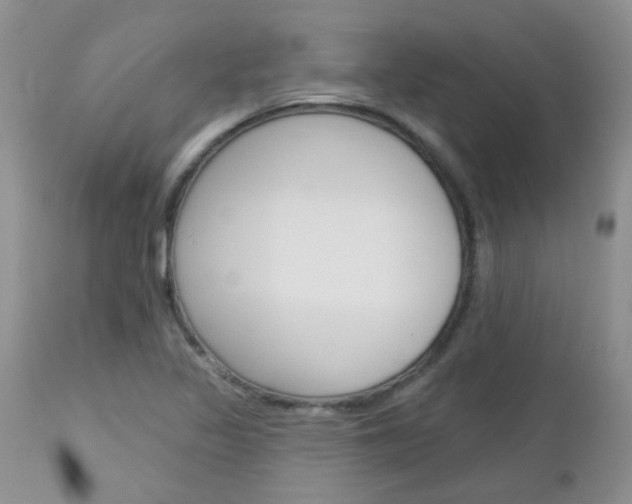 X0000113121317200908281032