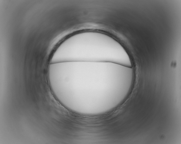 X0000113121318200908281032