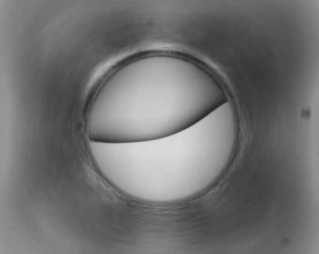 X0000113121319200908281033