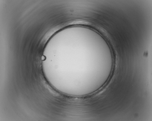 X0000113121321200908281033