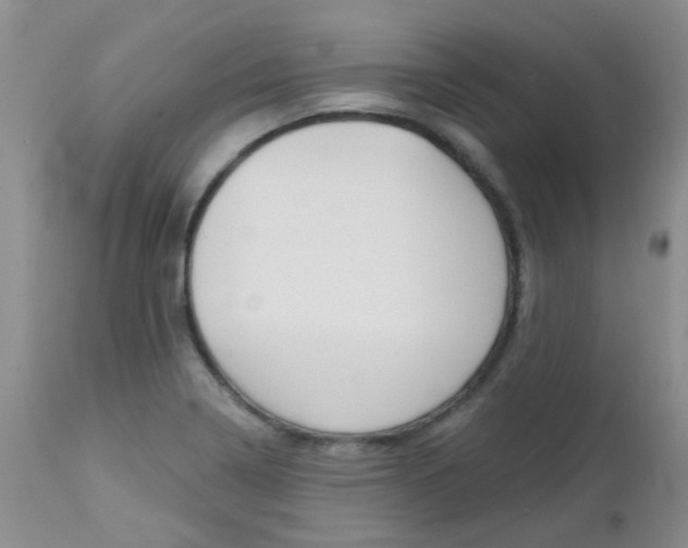 X0000113121322200908281033