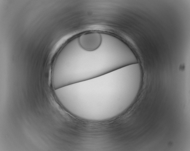 X0000113121323200908281033