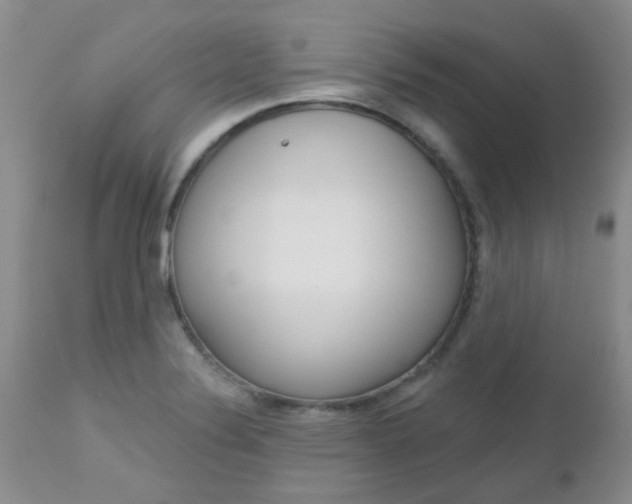 X0000113121324200908281033