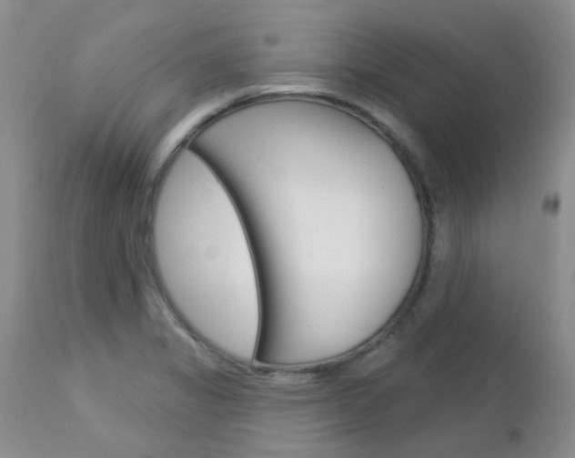 X0000113121325200908281033