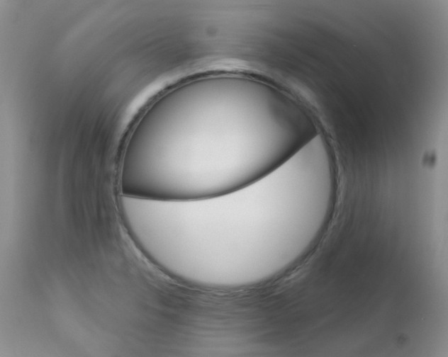 X0000113121326200908281033