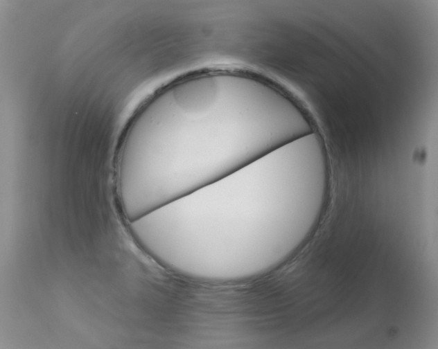 X0000113121327200908281033