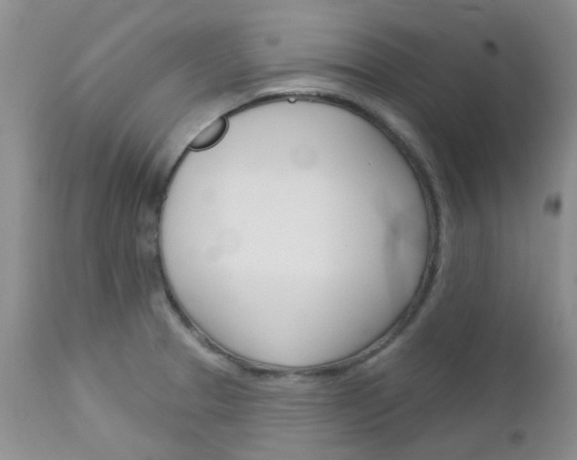 X0000113121329200908281033