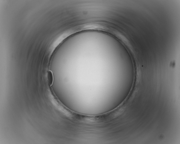 X0000113121330200908281033