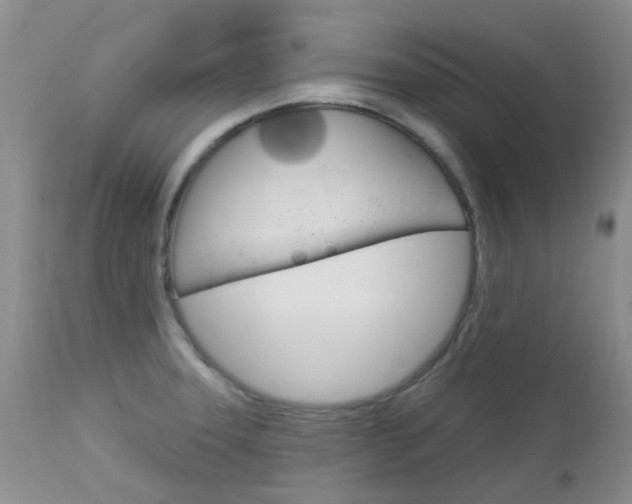 X0000113121331200908281033