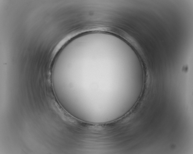 X0000113121332200908281033