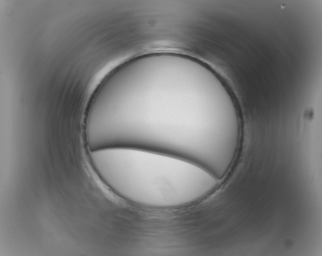 X0000113121333200908281033