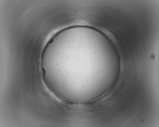 X0000113121334200908281033