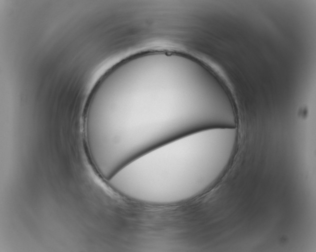 X0000113121335200908281033