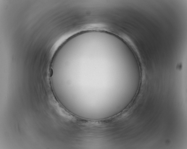 X0000113121336200908281033