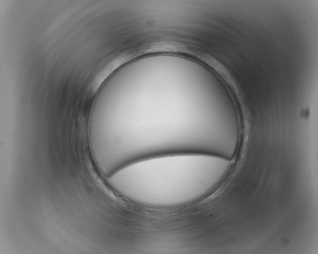 X0000113121337200908281033