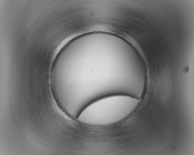X0000113121339200908281033