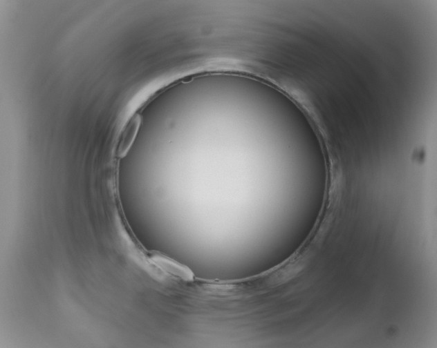 X0000113121342200908281033