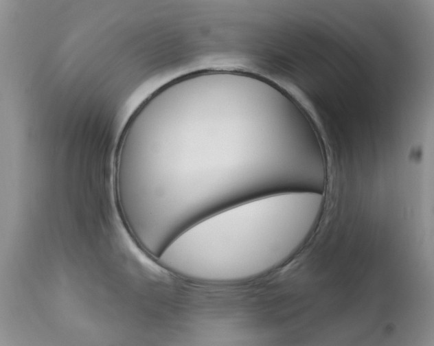 X0000113121343200908281033