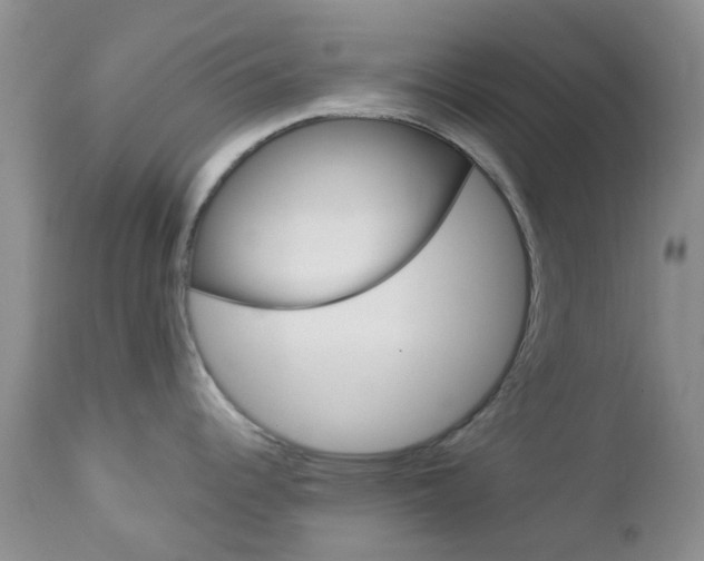 X0000113121344200908281033