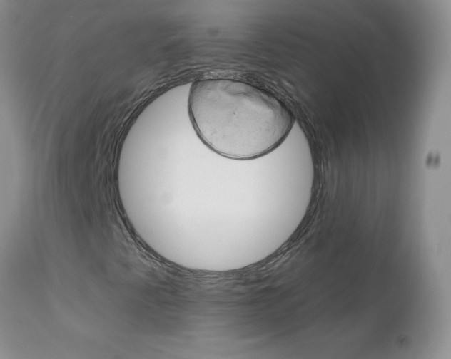 X0000113121345200908281032