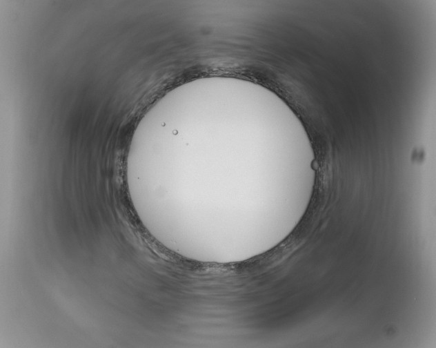 X0000113121346200908281032
