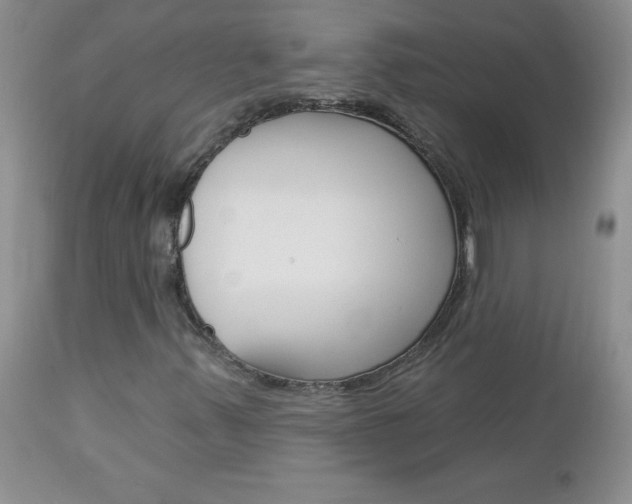 X0000113121347200908281032