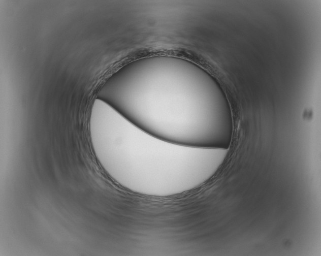 X0000113121348200908281032