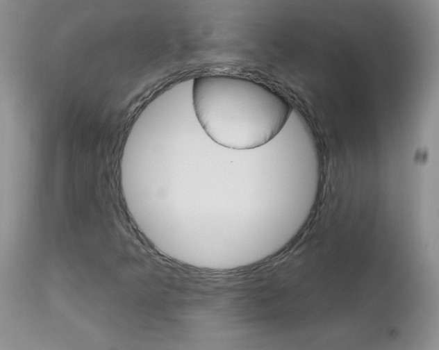 X0000113121349200908281032