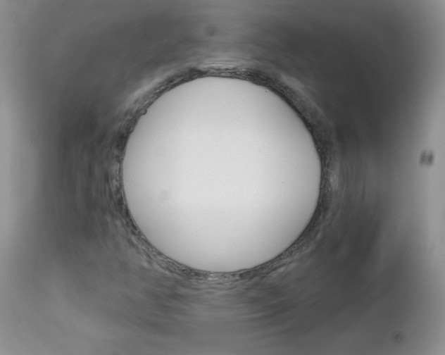 X0000113121350200908281032