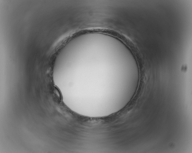 X0000113121351200908281032