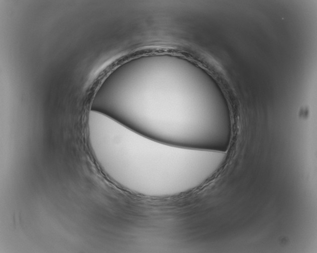 X0000113121352200908281032