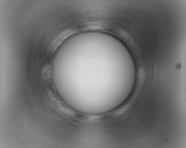 X0000113121353200908281032