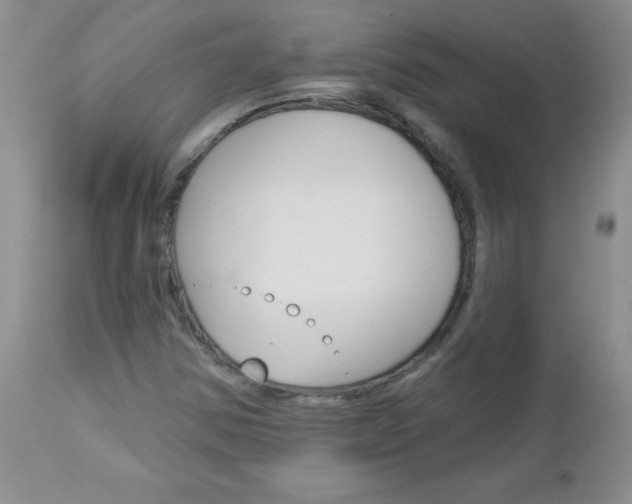X0000113121354200908281032